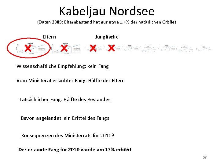 Kabeljau Nordsee (Daten 2009: Elternbestand hat nur etwa 1. 4% der natürlichen Größe) Eltern