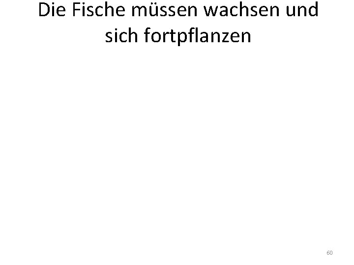 Die Fische müssen wachsen und sich fortpflanzen 60 