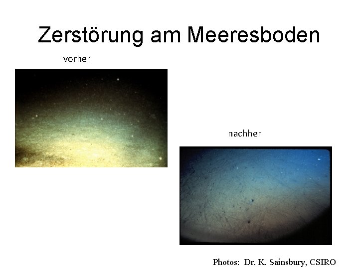 Zerstörung am Meeresboden vorher nachher Photos: Dr. K. Sainsbury, CSIRO 