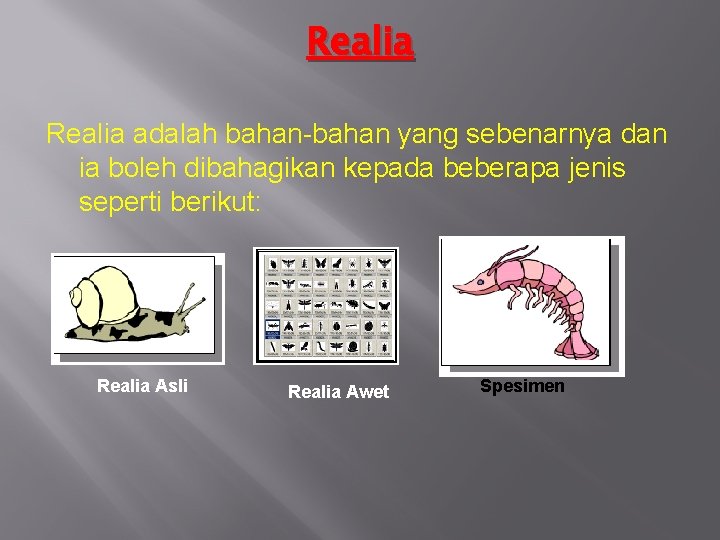 Realia adalah bahan-bahan yang sebenarnya dan ia boleh dibahagikan kepada beberapa jenis seperti berikut: