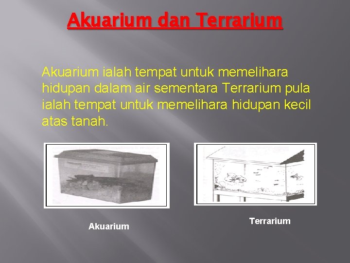 Akuarium dan Terrarium Akuarium ialah tempat untuk memelihara hidupan dalam air sementara Terrarium pula