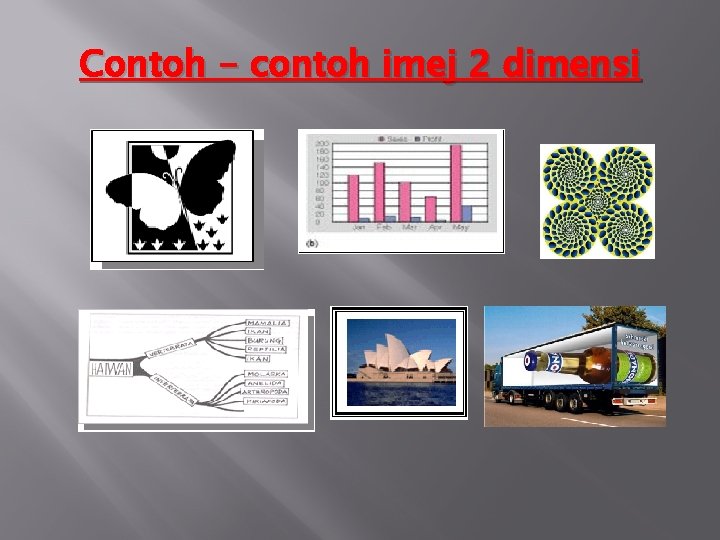 Contoh - contoh imej 2 dimensi 