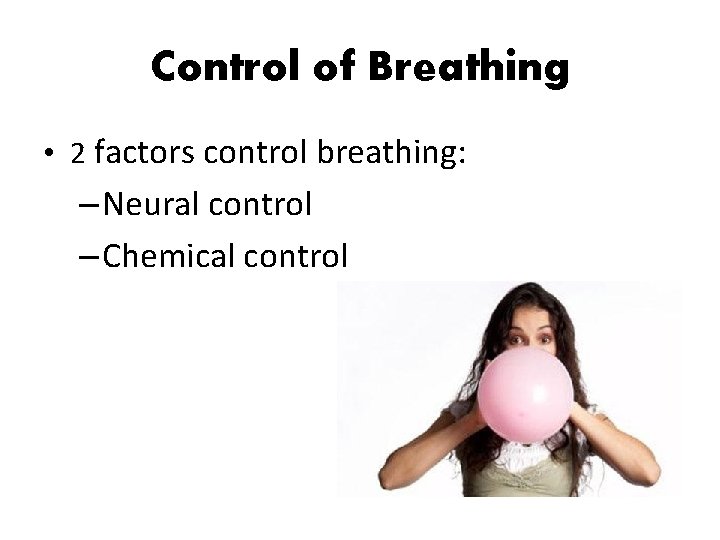 Control of Breathing • 2 factors control breathing: – Neural control – Chemical control