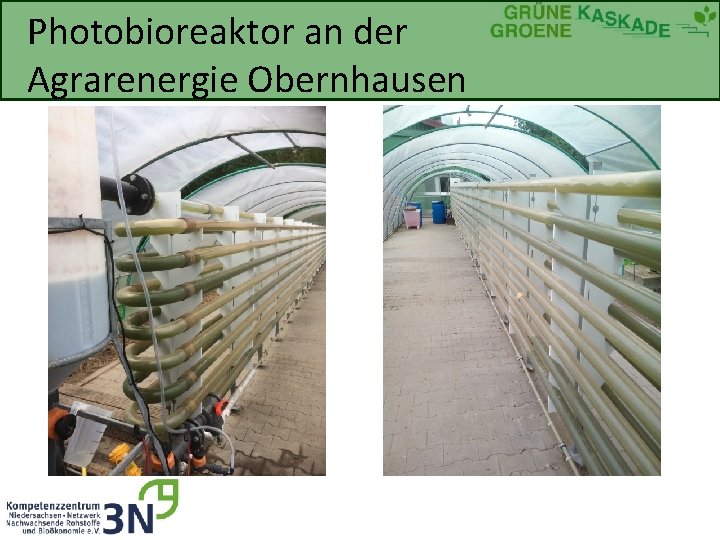 Photobioreaktor an der Agrarenergie Obernhausen 