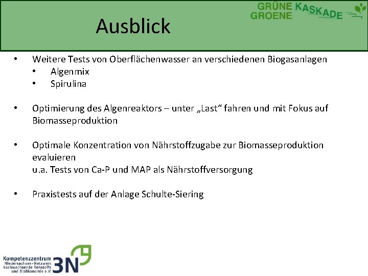 Ausblick • Weitere Tests von Oberflächenwasser an verschiedenen Biogasanlagen • Algenmix • Spirulina •