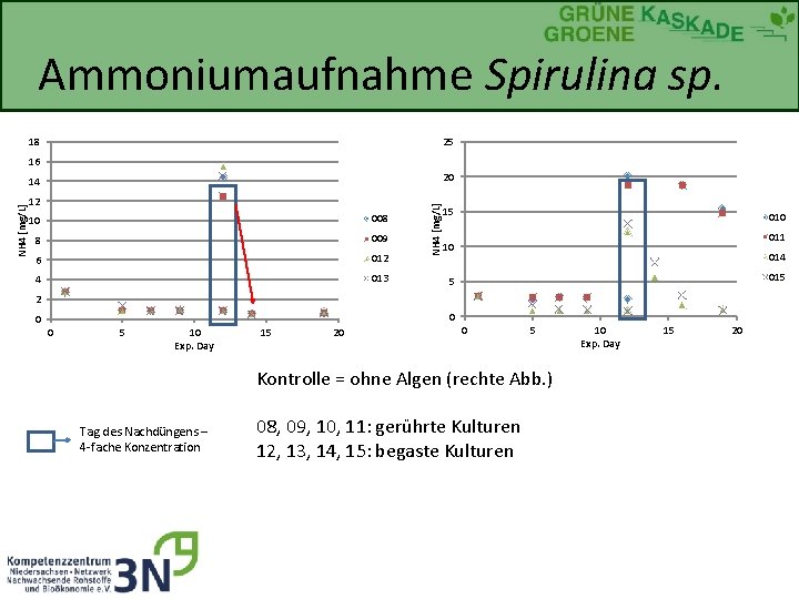 NH 4 [mg/L] Ammoniumaufnahme Spirulina sp. Exp. Day 