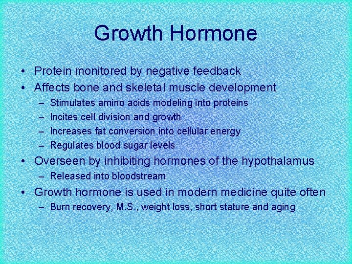 Growth Hormone • Protein monitored by negative feedback • Affects bone and skeletal muscle