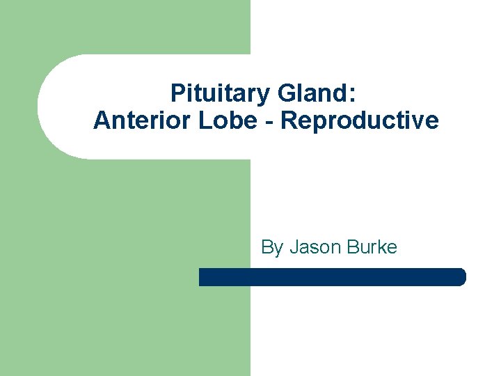 Pituitary Gland: Anterior Lobe - Reproductive By Jason Burke 