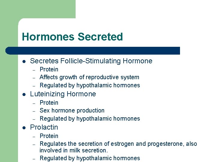 Hormones Secreted l Secretes Follicle-Stimulating Hormone – – – l Luteinizing Hormone – –