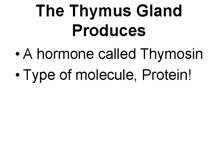 The Thymus Gland Produces • A hormone called Thymosin • Type of molecule, Protein!