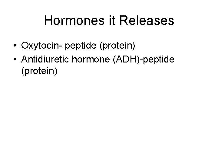 Hormones it Releases • Oxytocin- peptide (protein) • Antidiuretic hormone (ADH)-peptide (protein) 