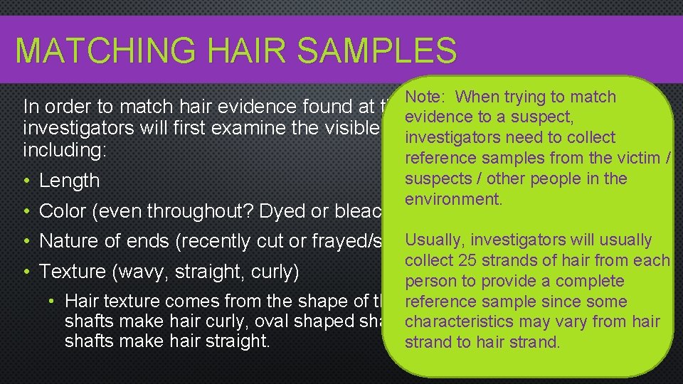 MATCHING HAIR SAMPLES Note: When trying to match In order to match hair evidence