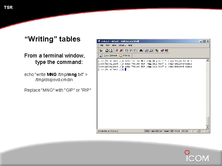 TSR “Writing” tables From a terminal window, type the command: echo “write MNG /tmp/mng.