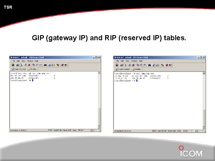 TSR GIP (gateway IP) and RIP (reserved IP) tables. 