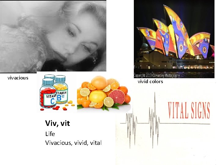 vivacious vivid colors Viv, vit Life Vivacious, vivid, vital 