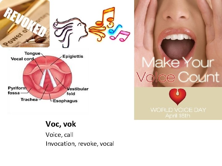 Voc, vok Voice, call Invocation, revoke, vocal 