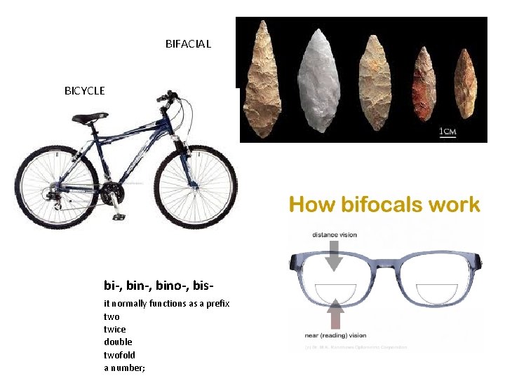 BIFACIAL BICYCLE bi-, bino-, bisit normally functions as a prefix two twice double twofold