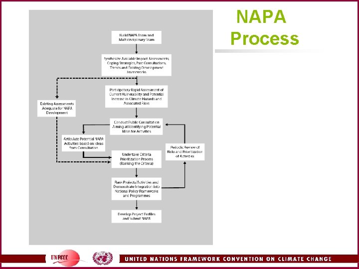 NAPA Process 