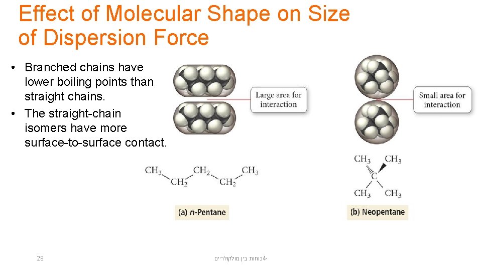 Effect of Molecular Shape on Size of Dispersion Force • Branched chains have lower