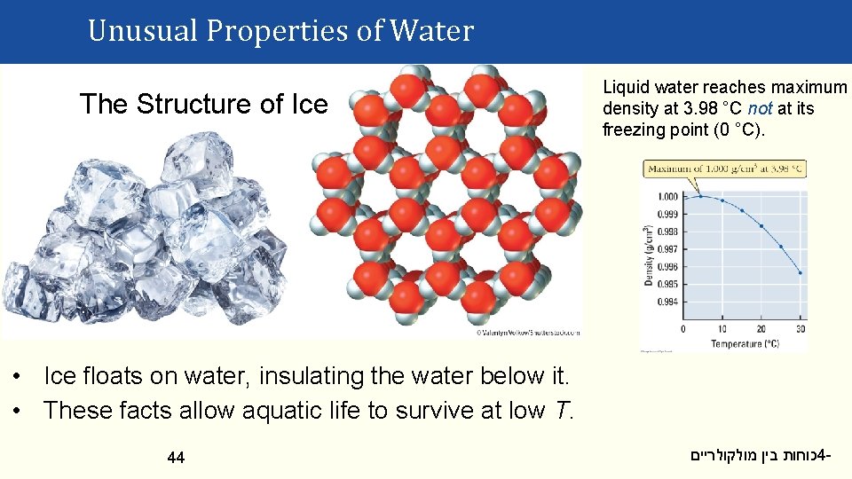 Unusual Properties of Water The Structure of Ice Liquid water reaches maximum density at