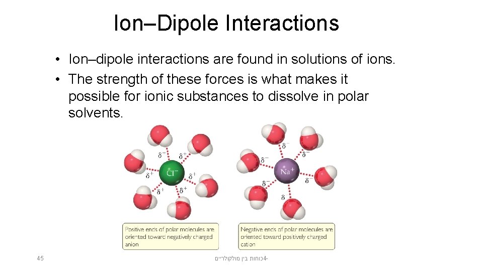 Ion–Dipole Interactions • Ion–dipole interactions are found in solutions of ions. • The strength
