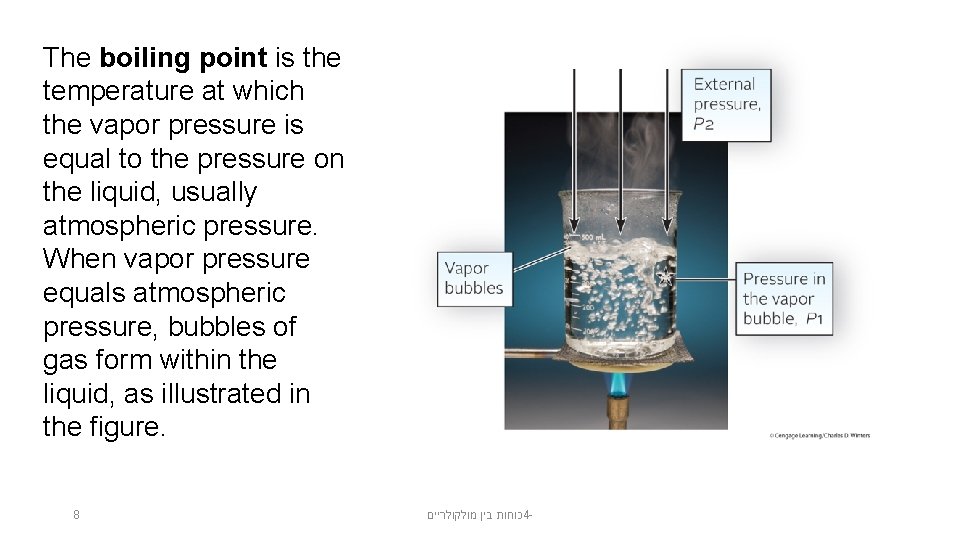 The boiling point is the temperature at which the vapor pressure is equal to