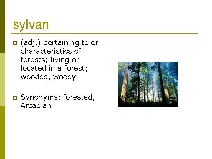 sylvan p (adj. ) pertaining to or characteristics of forests; living or located in