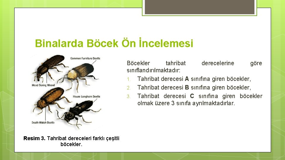 Binalarda Böcek Ön İncelemesi Böcekler tahribat derecelerine göre sınıflandırılmaktadır: 1. Tahribat derecesi A sınıfına