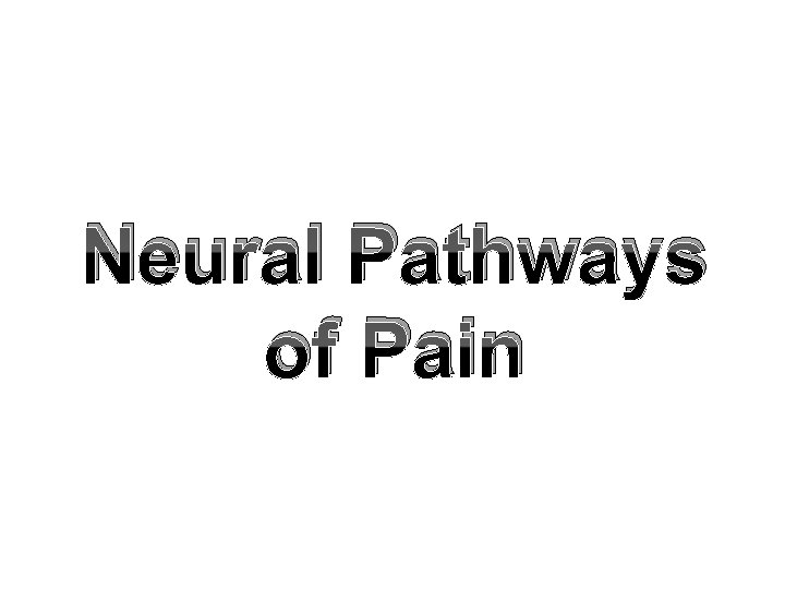 Neural Pathways of Pain 