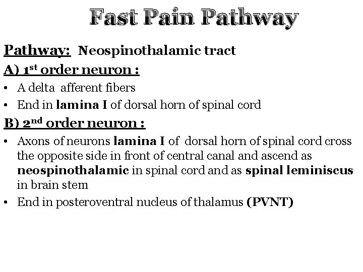 Fast Pain Pathway: Neospinothalamic tract A) 1 st order neuron : • A delta