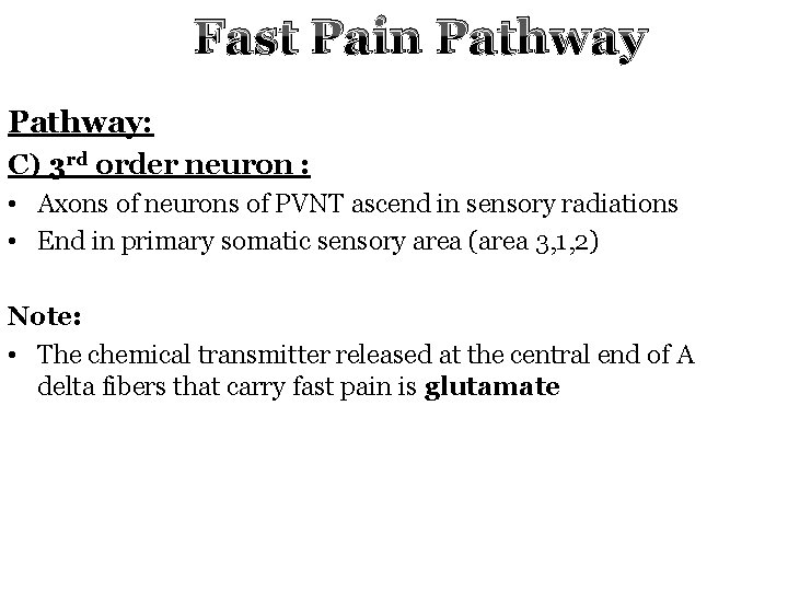 Fast Pain Pathway: C) 3 rd order neuron : • Axons of neurons of