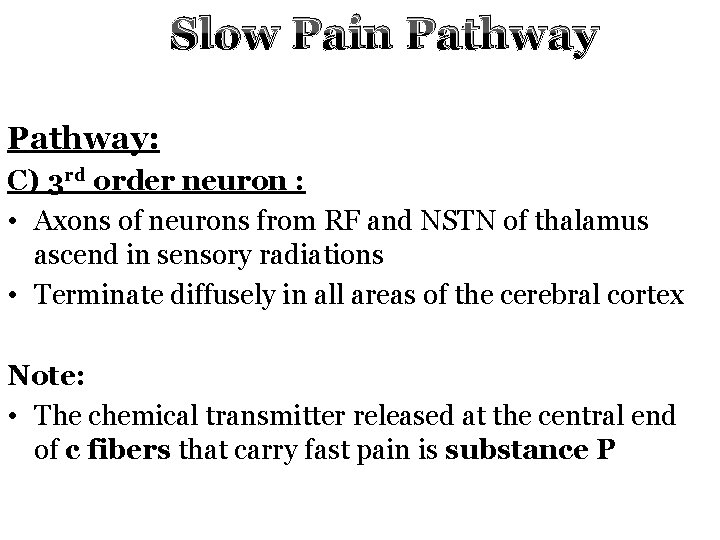 Slow Pain Pathway: C) 3 rd order neuron : • Axons of neurons from