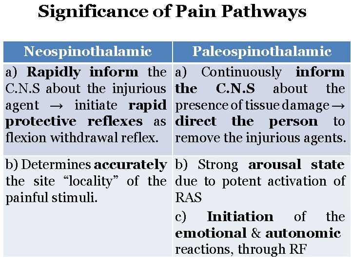 Significance of Pain Pathways Neospinothalamic Paleospinothalamic a) Rapidly inform the C. N. S about