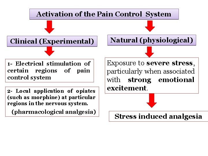 Activation of the Pain Control System Clinical (Experimental) 1 - Electrical stimulation of certain