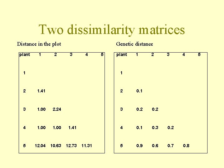 Two dissimilarity matrices Distance in the plot plant 1 2 Genetic distance 3 4