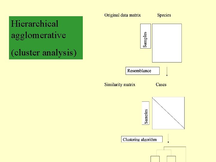Hierarchical agglomerative (cluster analysis) 