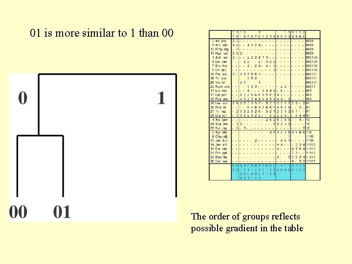 01 is more similar to 1 than 00 The order of groups reflects possible