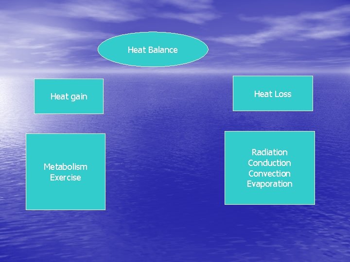 Heat Balance Heat gain Heat Loss Metabolism Exercise Radiation Conduction Convection Evaporation 