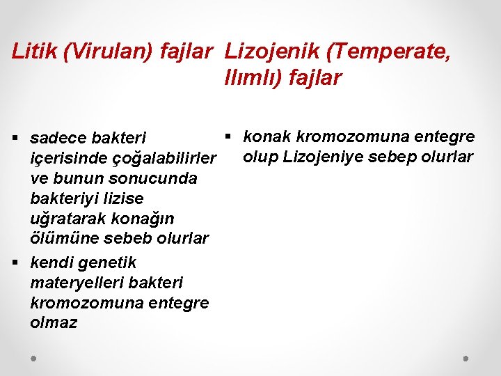 Litik (Virulan) fajlar Lizojenik (Temperate, Ilımlı) fajlar § konak kromozomuna entegre § sadece bakteri