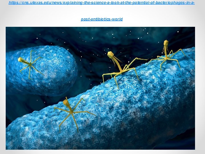 https: //cns. utexas. edu/news/explaining-the-science-a-look-at-the-potential-of-bacteriophages-in-a- post-antibiotics-world 