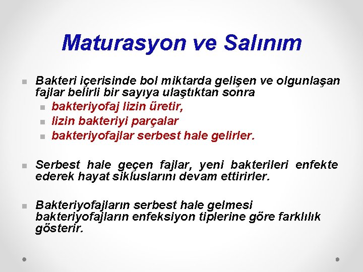 Maturasyon ve Salınım n n n Bakteri içerisinde bol miktarda gelişen ve olgunlaşan fajlar