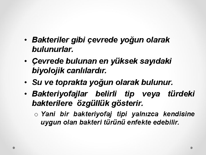  • Bakteriler gibi çevrede yoğun olarak bulunurlar. • Çevrede bulunan en yüksek sayıdaki