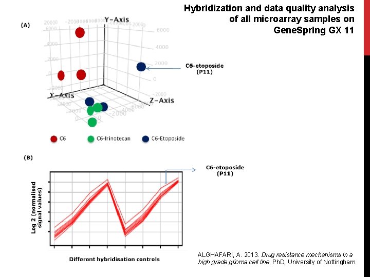 Hybridization and data quality analysis of all microarray samples on Gene. Spring GX 11