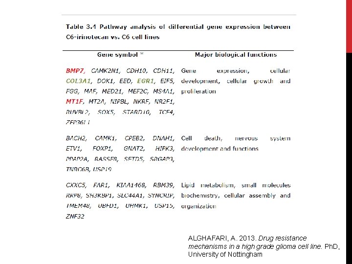 ALGHAFARI, A. 2013. Drug resistance mechanisms in a high grade glioma cell line. Ph.
