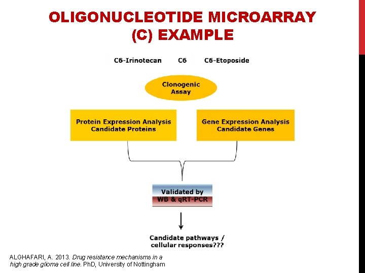 OLIGONUCLEOTIDE MICROARRAY (C) EXAMPLE ALGHAFARI, A. 2013. Drug resistance mechanisms in a high grade