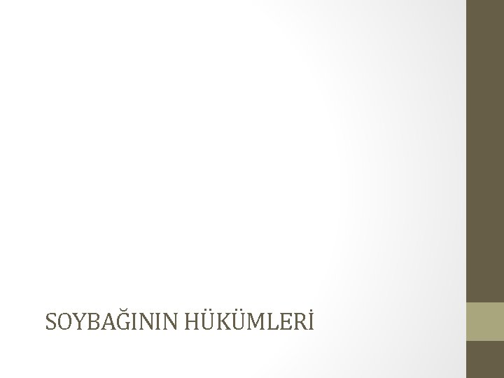 SOYBAĞININ HÜKÜMLERİ 