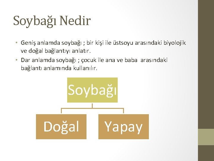 Soybağı Nedir • Geniş anlamda soybağı ; bir kişi ile üstsoyu arasındaki biyolojik ve