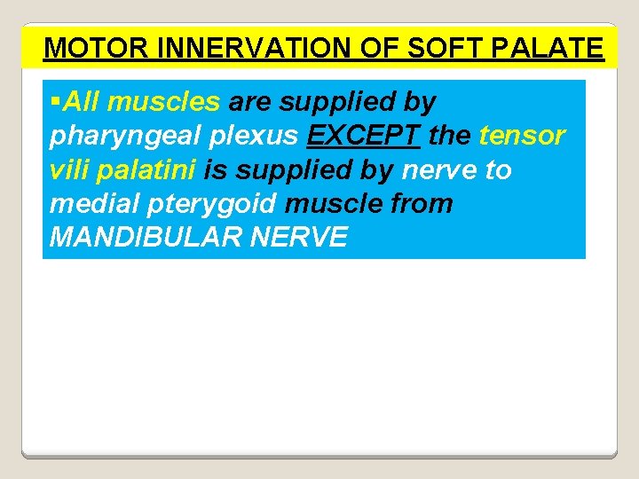 MOTOR INNERVATION OF SOFT PALATE §All muscles are supplied by pharyngeal plexus EXCEPT the