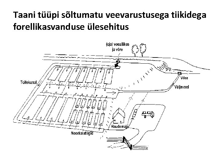 Taani tüüpi sõltumatu veevarustusega tiikidega forellikasvanduse ülesehitus 