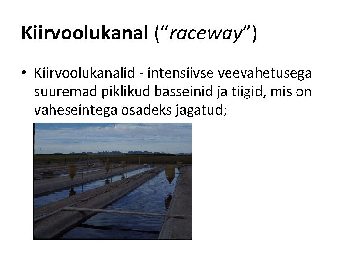 Kiirvoolukanal (“raceway”) • Kiirvoolukanalid - intensiivse veevahetusega suuremad piklikud basseinid ja tiigid, mis on